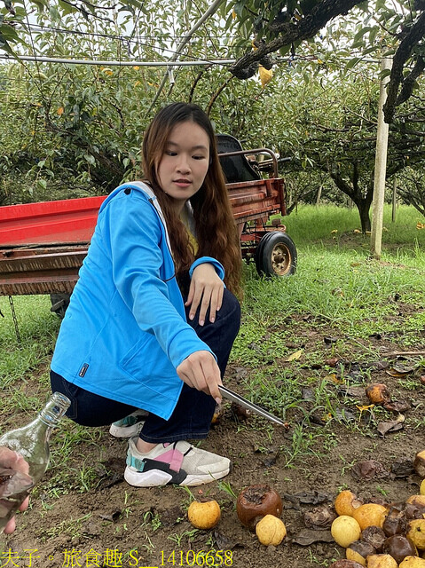 S__14106658.jpg - 苗栗三灣和豐農園  20220815