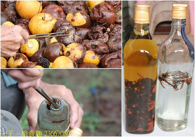 23667080.jpg - 苗栗三灣和豐農園  20220815