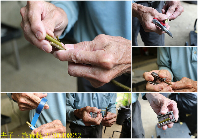 21306408952.jpg - 苗栗三灣和豐農園  20220815