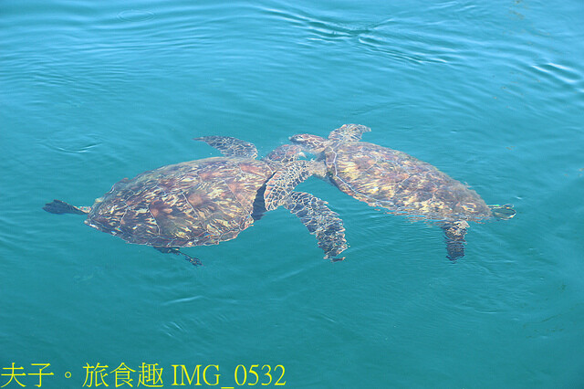 IMG_0532.jpg - 澎湖白灣坑休閒魚場 20220727