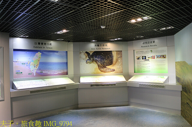 IMG_9794.jpg - 澎湖望安綠蠵龜觀光保育中心 20220727 