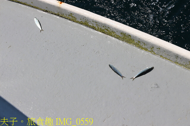 IMG_0559.jpg - 澎湖白灣坑休閒魚場 20220727