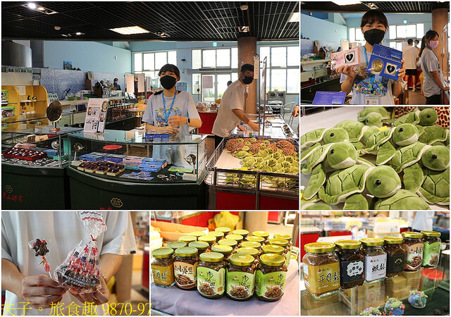 9870-97.jpg - 澎湖望安綠蠵龜觀光保育中心 20220727 