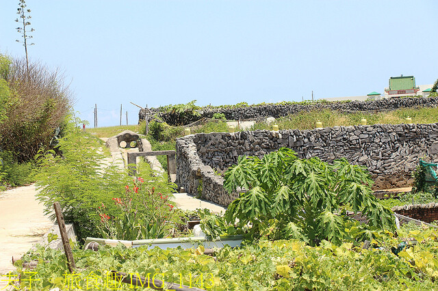 IMG_1143.jpg - 澎湖吉貝社區 20220729