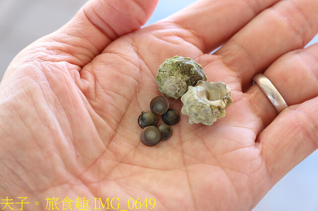 IMG_0649.jpg - 澎湖南寮風車有機農場休息站  20220728