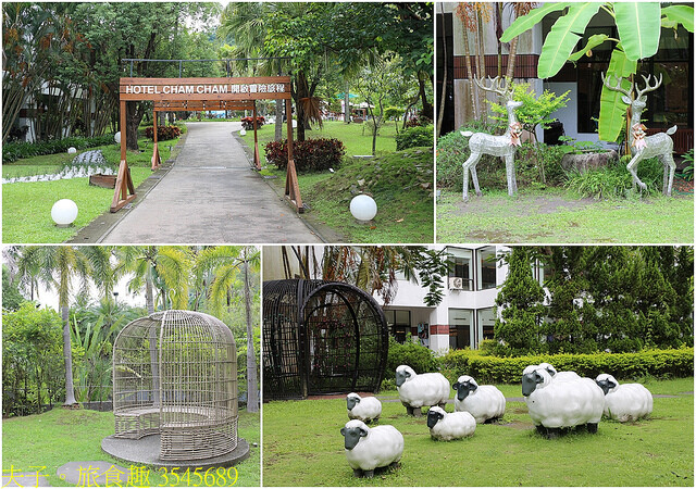 3545689.jpg - 台南趣淘漫旅  20220816