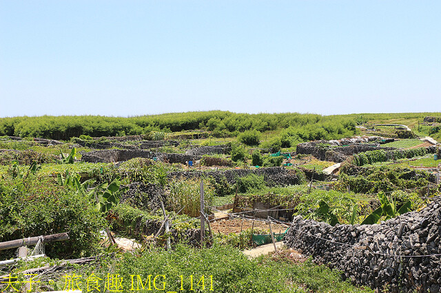 IMG_1141.jpg - 澎湖吉貝社區 20220729