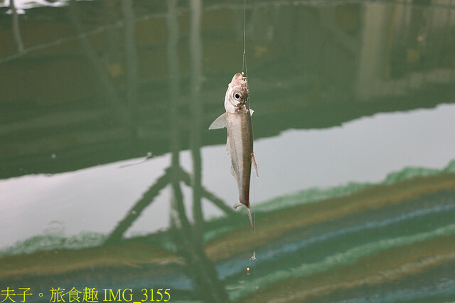 IMG_3155.jpg - 曾文水庫 20220816