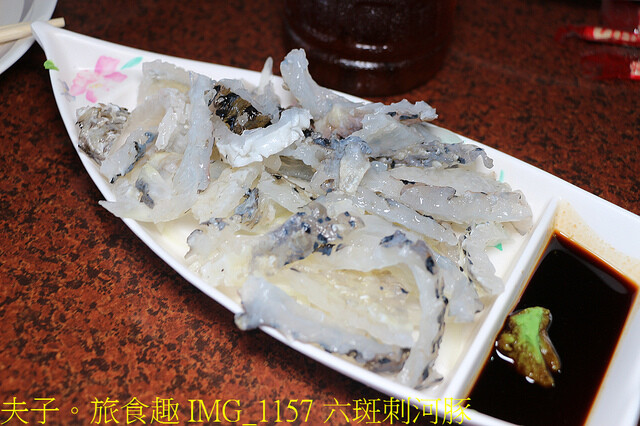 IMG_1157 六斑刺河豚.jpg - 澎湖吉貝社區 20220729