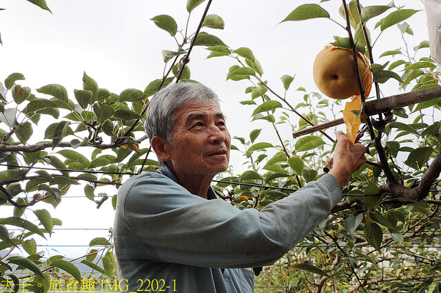 IMG_2202-1.jpg - 苗栗三灣和豐農園  20220815