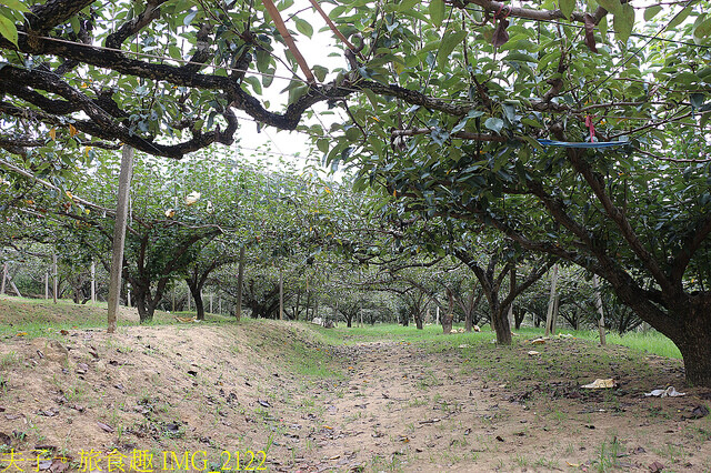 IMG_2122.jpg - 苗栗三灣和豐農園  20220815