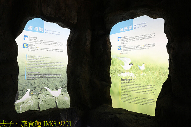 IMG_9791.jpg - 澎湖望安綠蠵龜觀光保育中心 20220727 