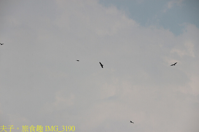 IMG_3190.jpg - 曾文水庫 20220816