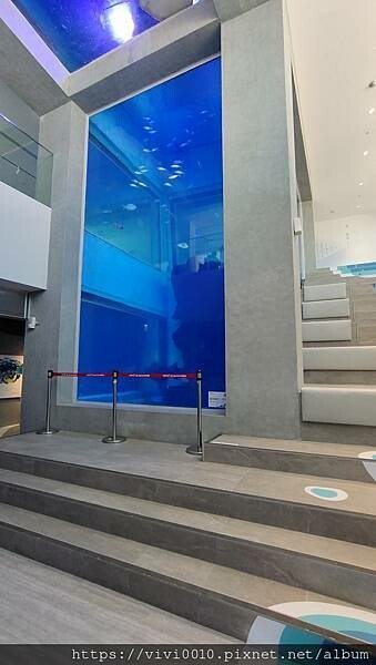 基隆.中正-北北基首座大型水族館,海底隧道VR體驗,還有絕美海景咖啡館!2022年6月新開幕快來衝一波