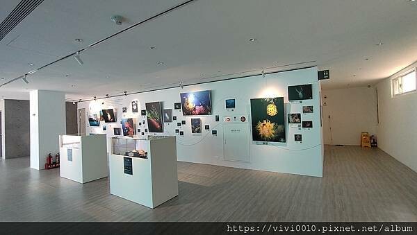 基隆.中正-北北基首座大型水族館,海底隧道VR體驗,還有絕美海景咖啡館!2022年6月新開幕快來衝一波