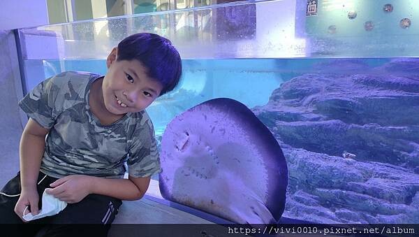 基隆.中正-北北基首座大型水族館,海底隧道VR體驗,還有絕美海景咖啡館!2022年6月新開幕快來衝一波