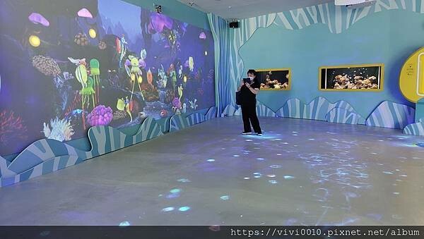 基隆.中正-北北基首座大型水族館,海底隧道VR體驗,還有絕美海景咖啡館!2022年6月新開幕快來衝一波