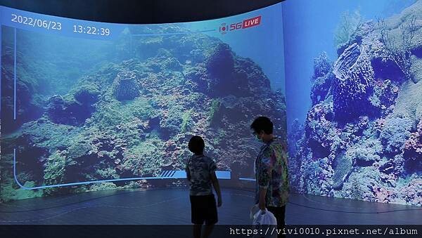 基隆.中正-北北基首座大型水族館,海底隧道VR體驗,還有絕美海景咖啡館!2022年6月新開幕快來衝一波