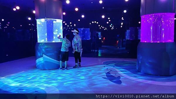 基隆.中正-北北基首座大型水族館,海底隧道VR體驗,還有絕美海景咖啡館!2022年6月新開幕快來衝一波