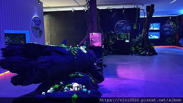 基隆.中正-北北基首座大型水族館,海底隧道VR體驗,還有絕美海景咖啡館!2022年6月新開幕快來衝一波