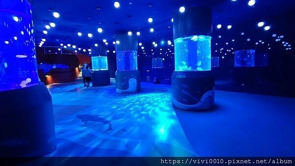 基隆.中正-北北基首座大型水族館,海底隧道VR體驗,還有絕美海景咖啡館!2022年6月新開幕快來衝一波