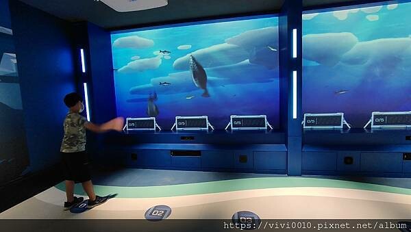 基隆.中正-北北基首座大型水族館,海底隧道VR體驗,還有絕美海景咖啡館!2022年6月新開幕快來衝一波