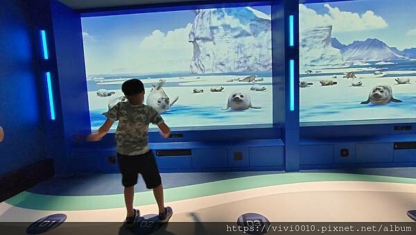 基隆.中正-北北基首座大型水族館,海底隧道VR體驗,還有絕美海景咖啡館!2022年6月新開幕快來衝一波