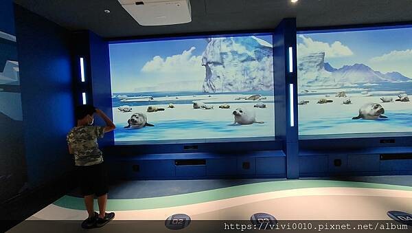 基隆.中正-北北基首座大型水族館,海底隧道VR體驗,還有絕美海景咖啡館!2022年6月新開幕快來衝一波