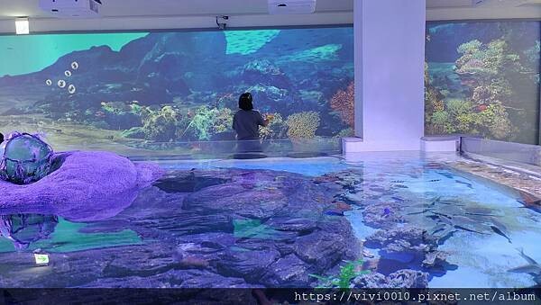 基隆.中正-北北基首座大型水族館,海底隧道VR體驗,還有絕美海景咖啡館!2022年6月新開幕快來衝一波