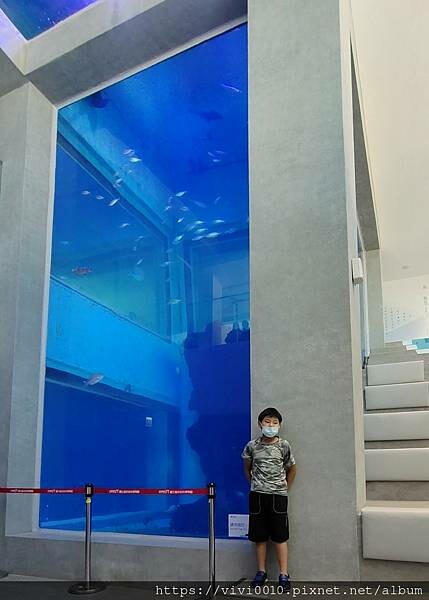 基隆.中正-北北基首座大型水族館,海底隧道VR體驗,還有絕美海景咖啡館!2022年6月新開幕快來衝一波