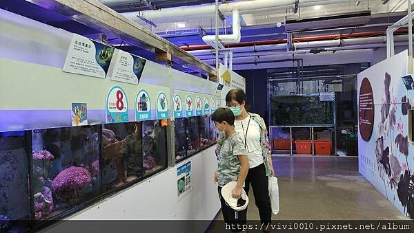 基隆.中正-北北基首座大型水族館,海底隧道VR體驗,還有絕美海景咖啡館!2022年6月新開幕快來衝一波