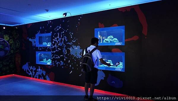 基隆.中正-北北基首座大型水族館,海底隧道VR體驗,還有絕美海景咖啡館!2022年6月新開幕快來衝一波