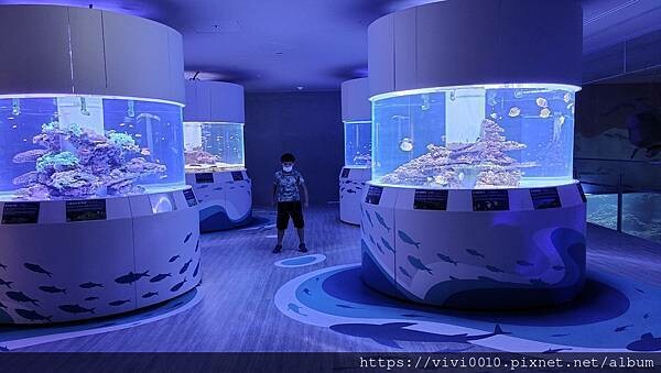 基隆.中正-北北基首座大型水族館,海底隧道VR體驗,還有絕美海景咖啡館!2022年6月新開幕快來衝一波
