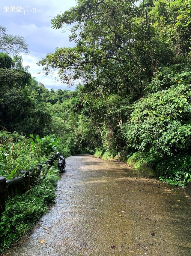 能高瀑布⟩免步行,開車就可以抵達,享受彩蝶紛飛氣勢磅礡的美麗-南投埔里秘境 @果果愛Fruitlove