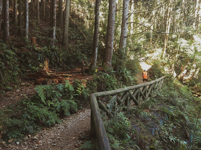 LINE_ALBUM_大雪山團練野孩子_220821_45 LINE_ALBUM_大雪山團練野孩子_220821_45