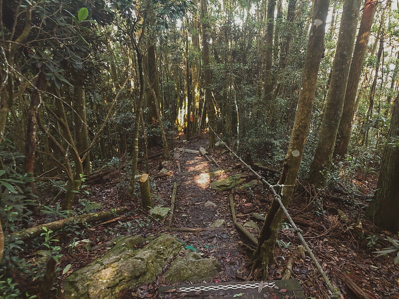 LINE_ALBUM_大雪山團練野孩子_220821_37 LINE_ALBUM_大雪山團練野孩子_220821_37