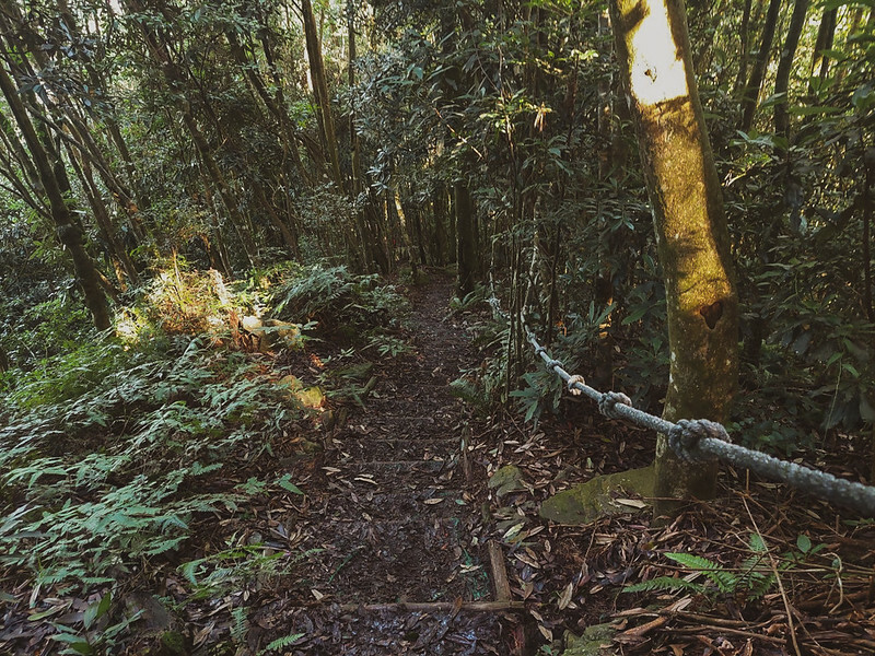 LINE_ALBUM_大雪山團練野孩子_220821_36 LINE_ALBUM_大雪山團練野孩子_220821_36