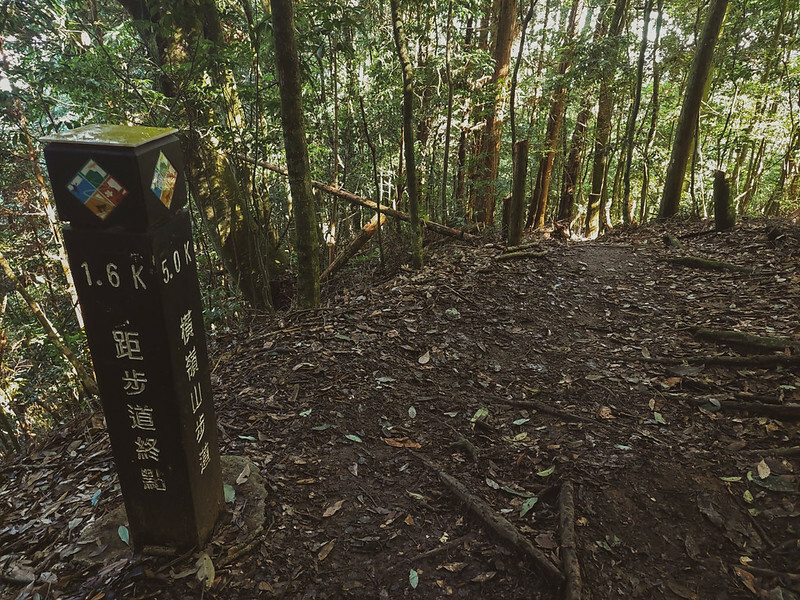 LINE_ALBUM_大雪山團練野孩子_220821_31 LINE_ALBUM_大雪山團練野孩子_220821_31