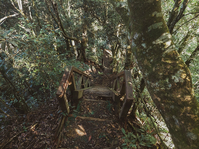 LINE_ALBUM_大雪山團練野孩子_220821_33 LINE_ALBUM_大雪山團練野孩子_220821_33