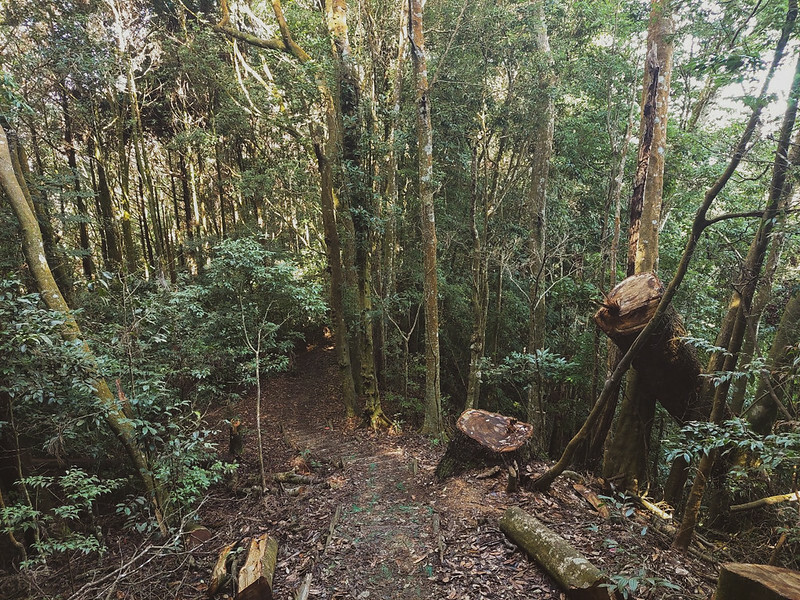 LINE_ALBUM_大雪山團練野孩子_220821_32 LINE_ALBUM_大雪山團練野孩子_220821_32