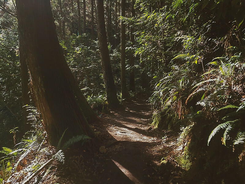 LINE_ALBUM_大雪山團練野孩子_220821_42 LINE_ALBUM_大雪山團練野孩子_220821_42