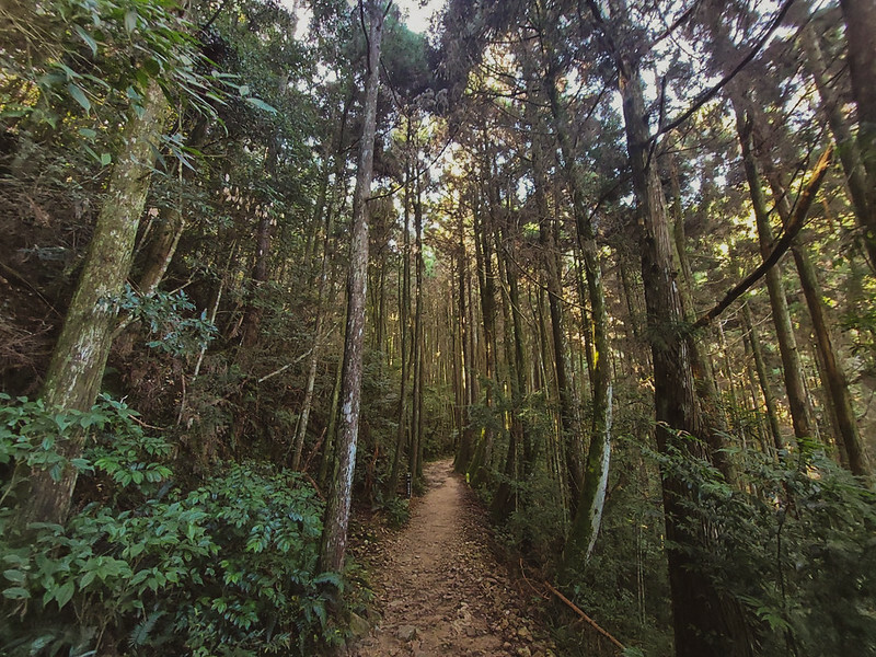 LINE_ALBUM_大雪山團練野孩子_220821_44 LINE_ALBUM_大雪山團練野孩子_220821_44