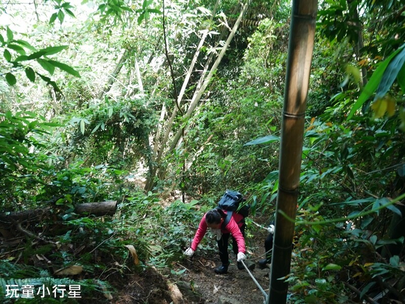 嘉義景點｜三角南山，大埔登山步道，跳跳農場起登｜嘉義賞梅