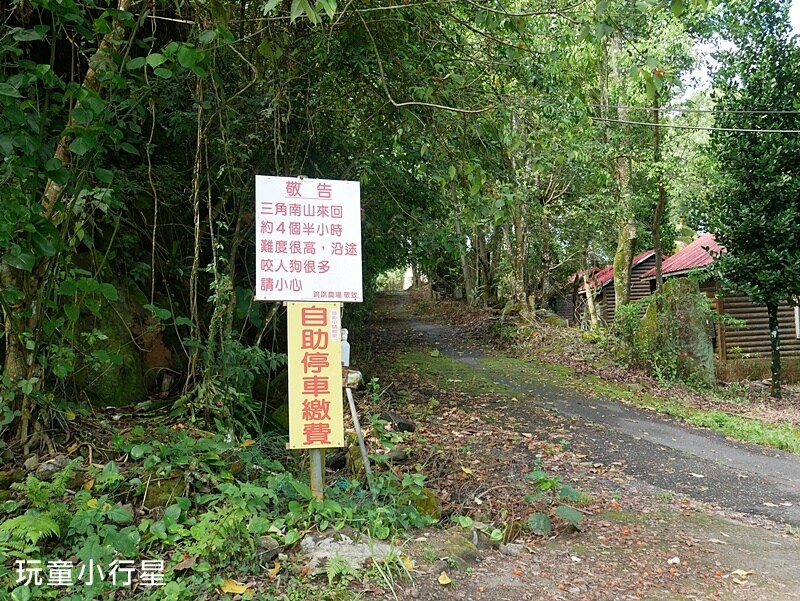 嘉義景點｜三角南山，大埔登山步道，跳跳農場起登｜嘉義賞梅