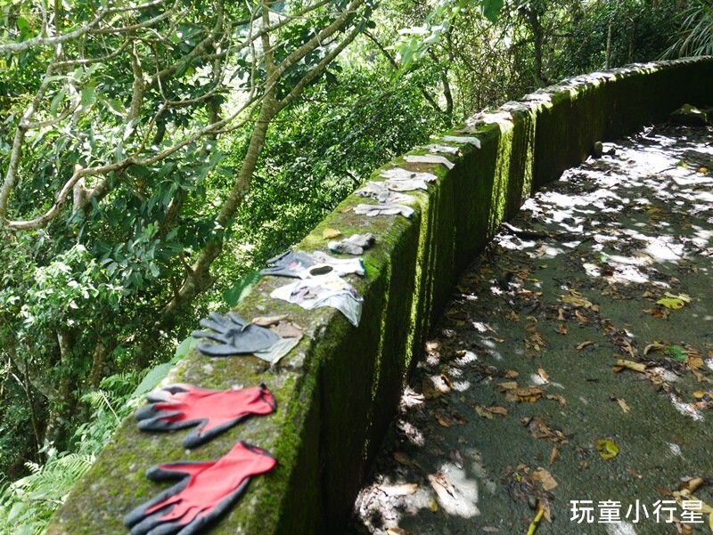 嘉義景點｜三角南山，大埔登山步道，跳跳農場起登｜嘉義賞梅