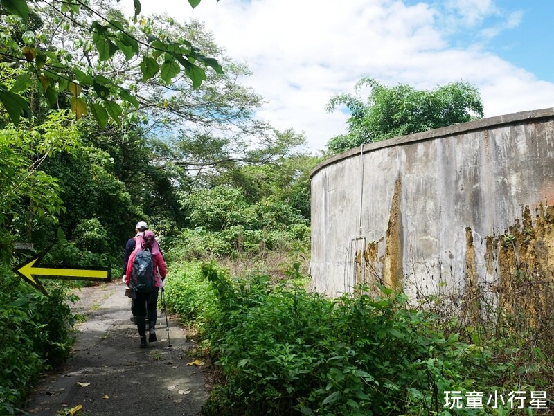 嘉義景點｜三角南山，大埔登山步道，跳跳農場起登｜嘉義賞梅