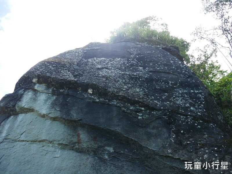 嘉義景點｜三角南山，大埔登山步道，跳跳農場起登｜嘉義賞梅