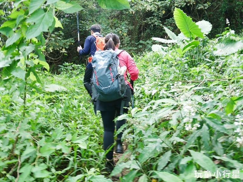 嘉義景點｜三角南山，大埔登山步道，跳跳農場起登｜嘉義賞梅
