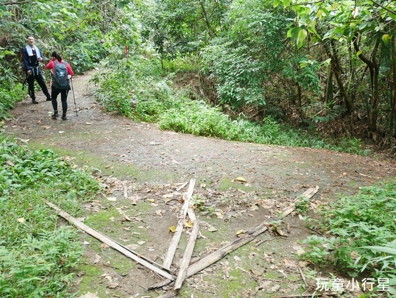 嘉義景點｜三角南山，大埔登山步道，跳跳農場起登｜嘉義賞梅