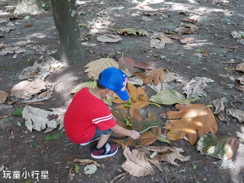 台南景點|億載金城.億載公園